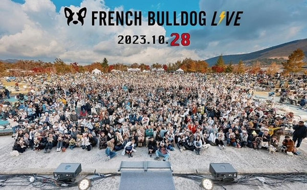 French Bulldog LIVE2023に参加してきました！