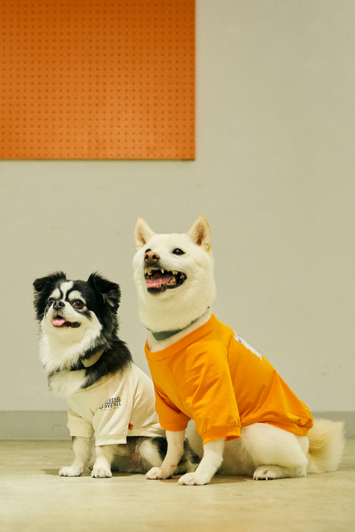 犬用ドッグTシャツ2枚セット【抗菌・撥水・ストレッチ】| UNIVERSAL