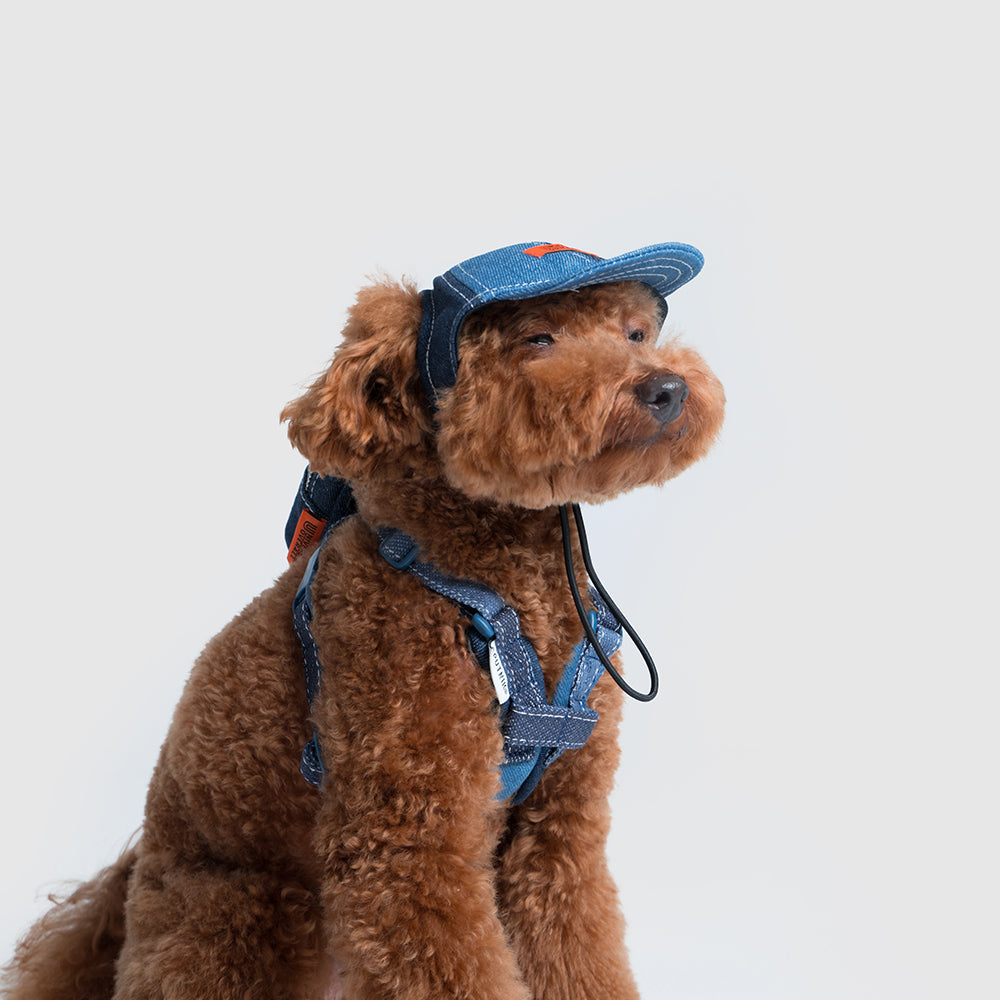 Pets cap【UO2543904SP】