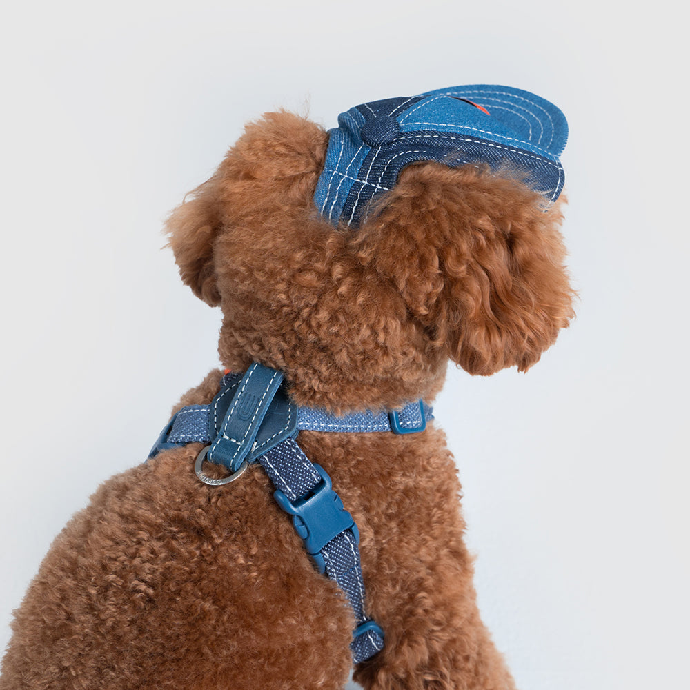 Pets cap/UNIVERSAL OVERALL（ユニバーサルオーバーオール