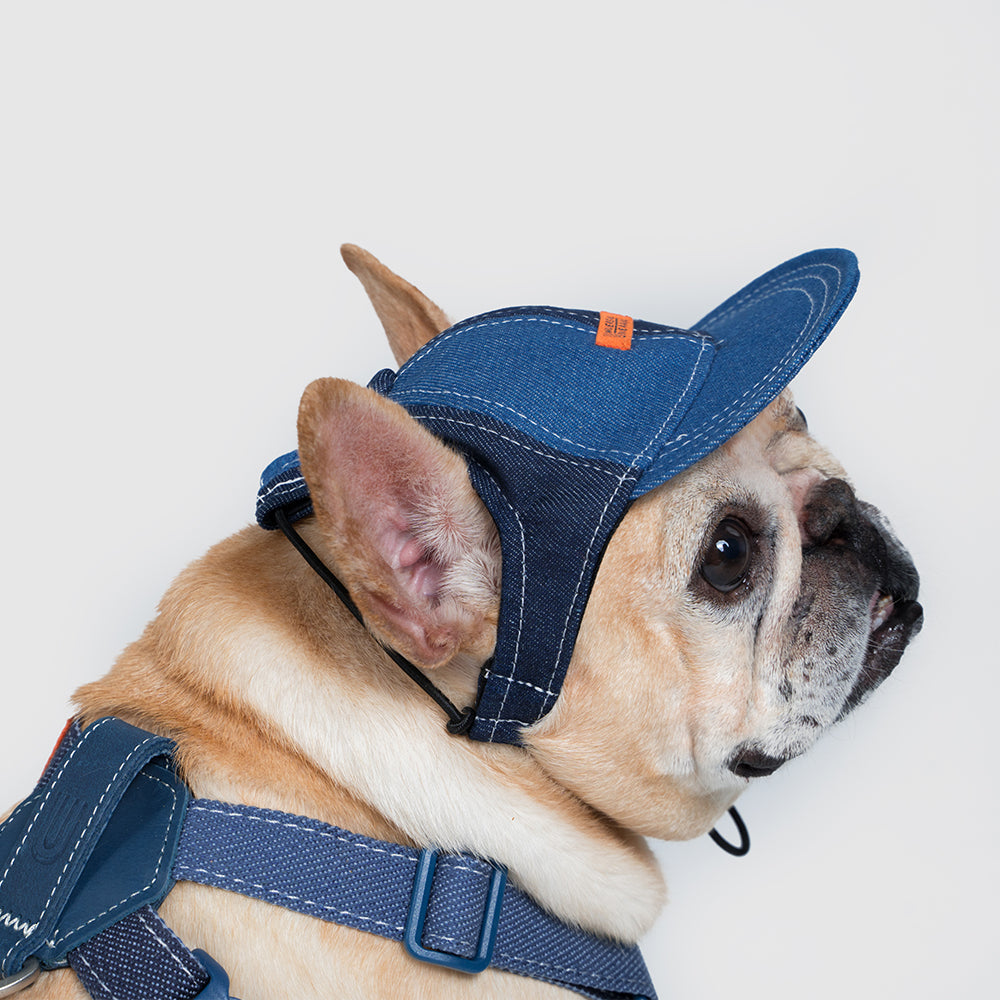 Pets cap【UO2543904SP】