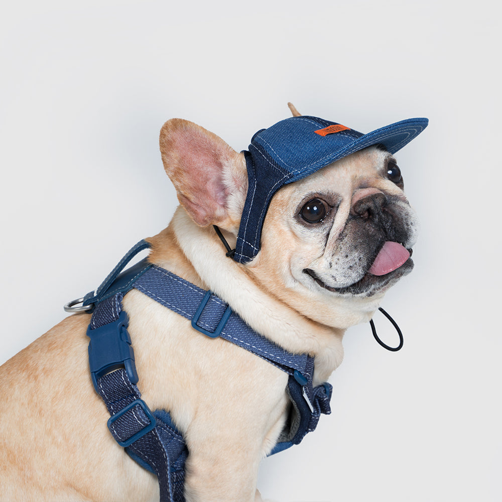 Pets cap/UNIVERSAL OVERALL（ユニバーサルオーバーオール