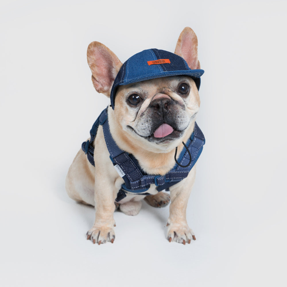 Pets cap【UO2543904SP】