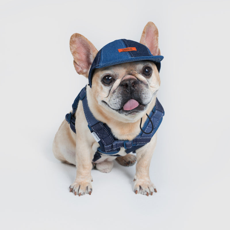 Pets cap【UO2543904SP】