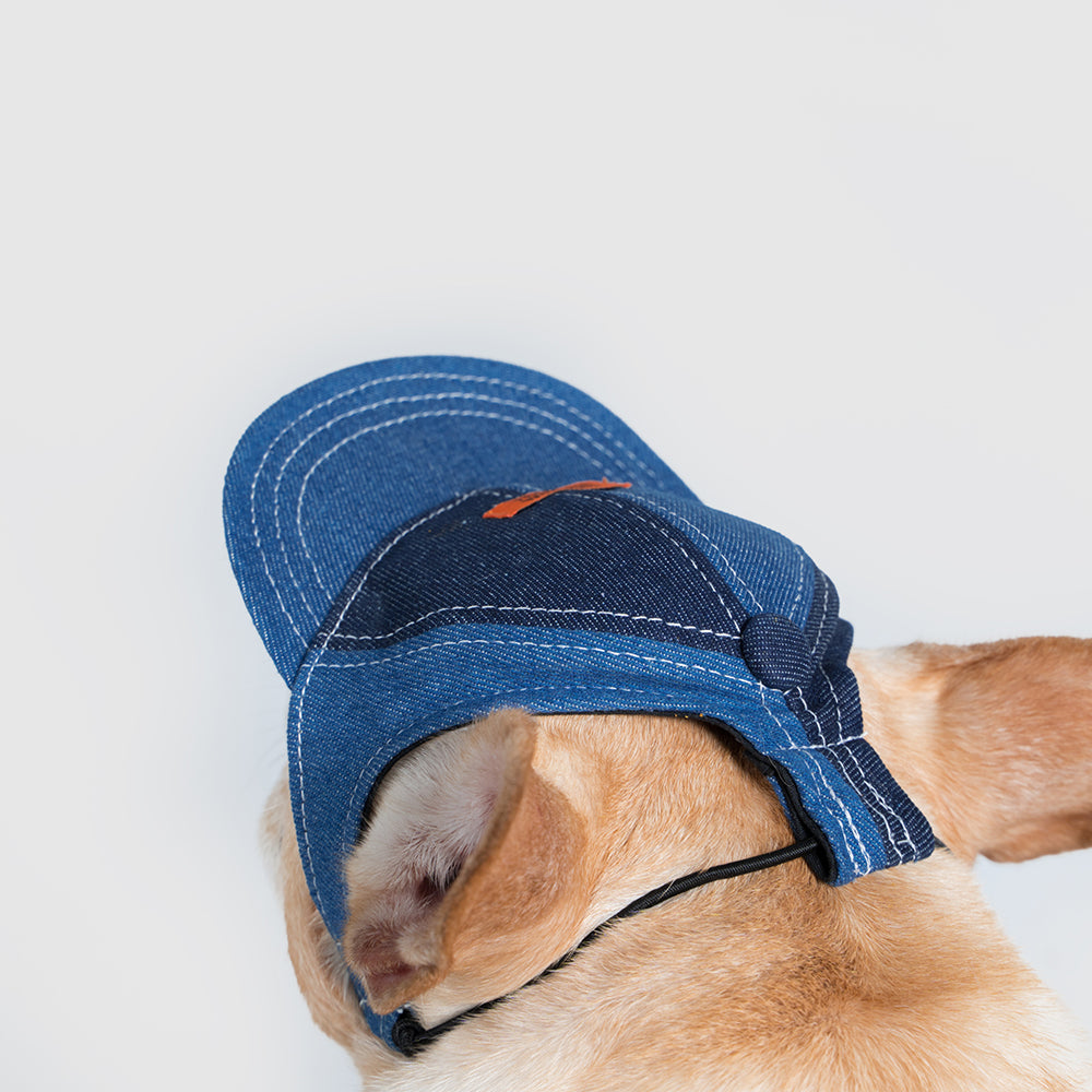 Pets cap/UNIVERSAL OVERALL（ユニバーサルオーバーオール