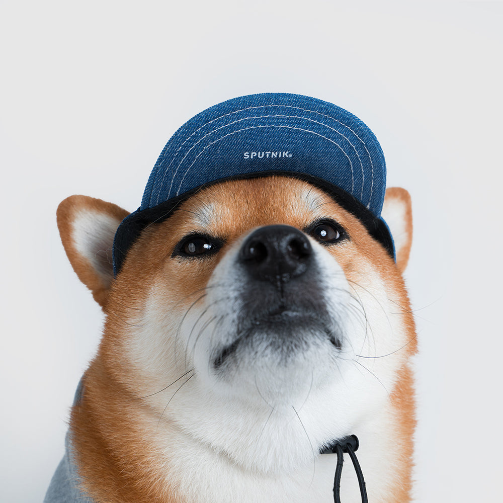 Pets cap【UO2543904SP】