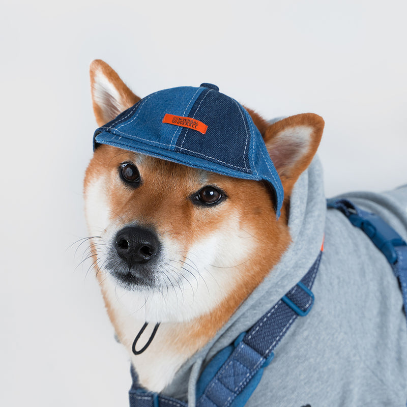 Pets cap【UO2543904SP】