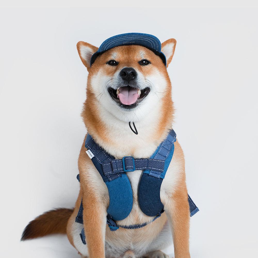 犬用キャップ【SPUTNIK×UNIVERSAL OVERALLデニムシリーズ