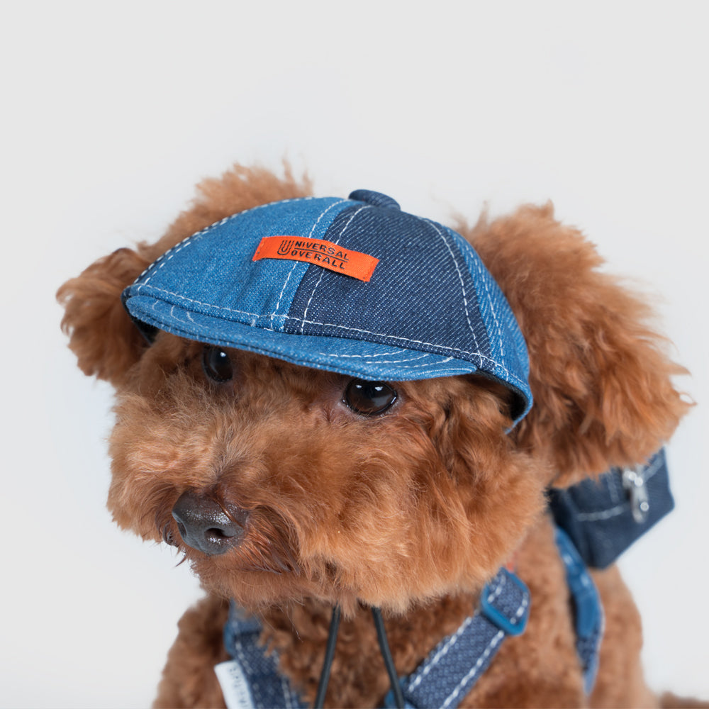 Pets cap【UO2543904SP】