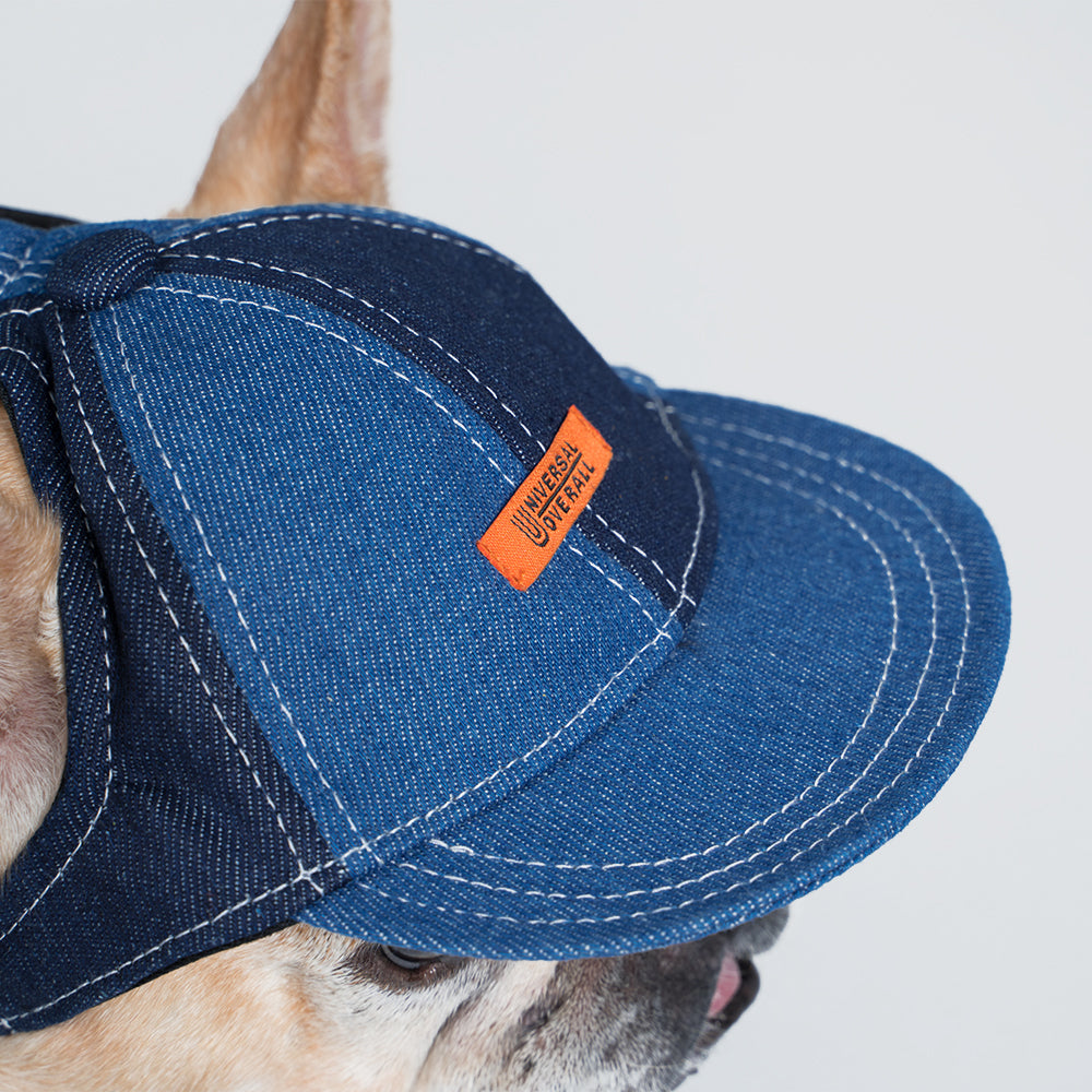 Pets cap【UO2543904SP】