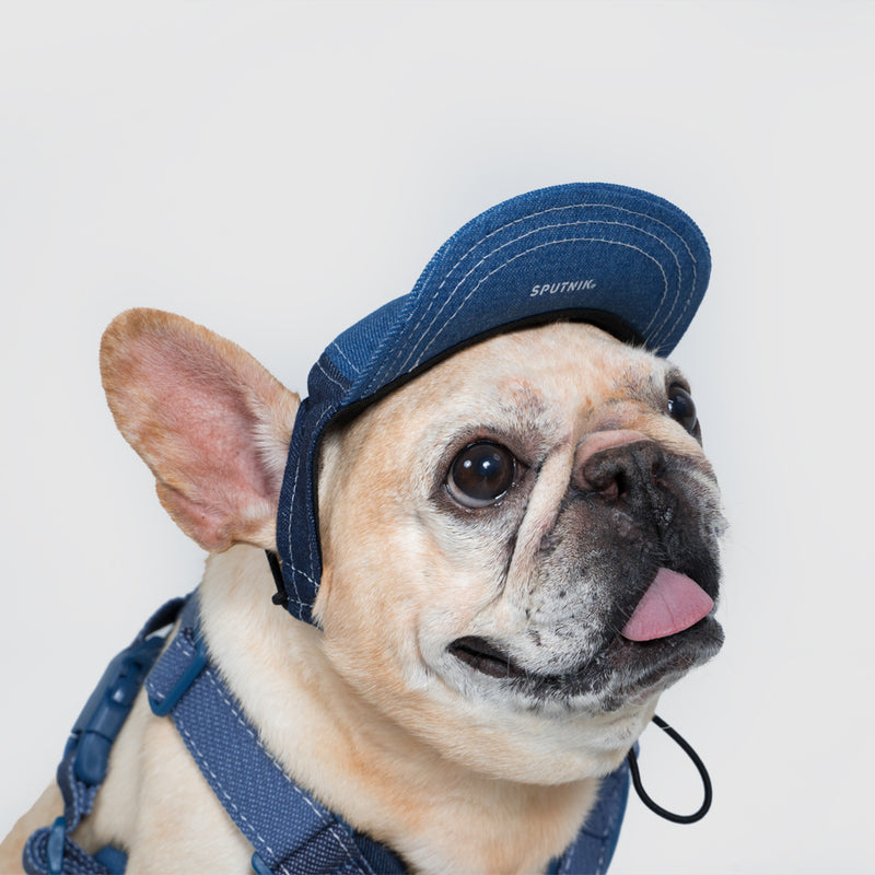 Pets cap【UO2543904SP】