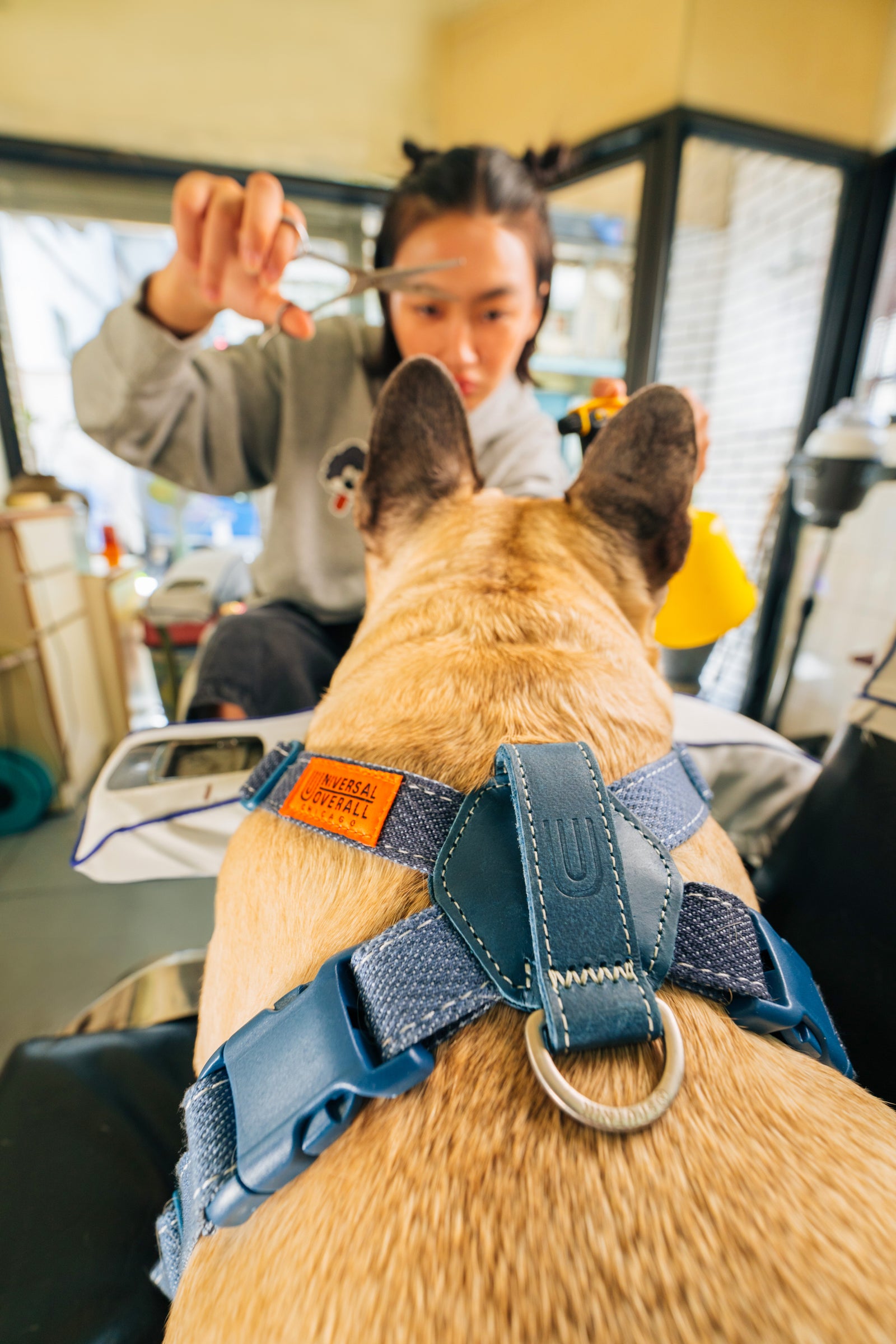 犬用ハーネスMサイズ【SPUTNIK×UNIVERSAL OVERALLデニムシリーズ
