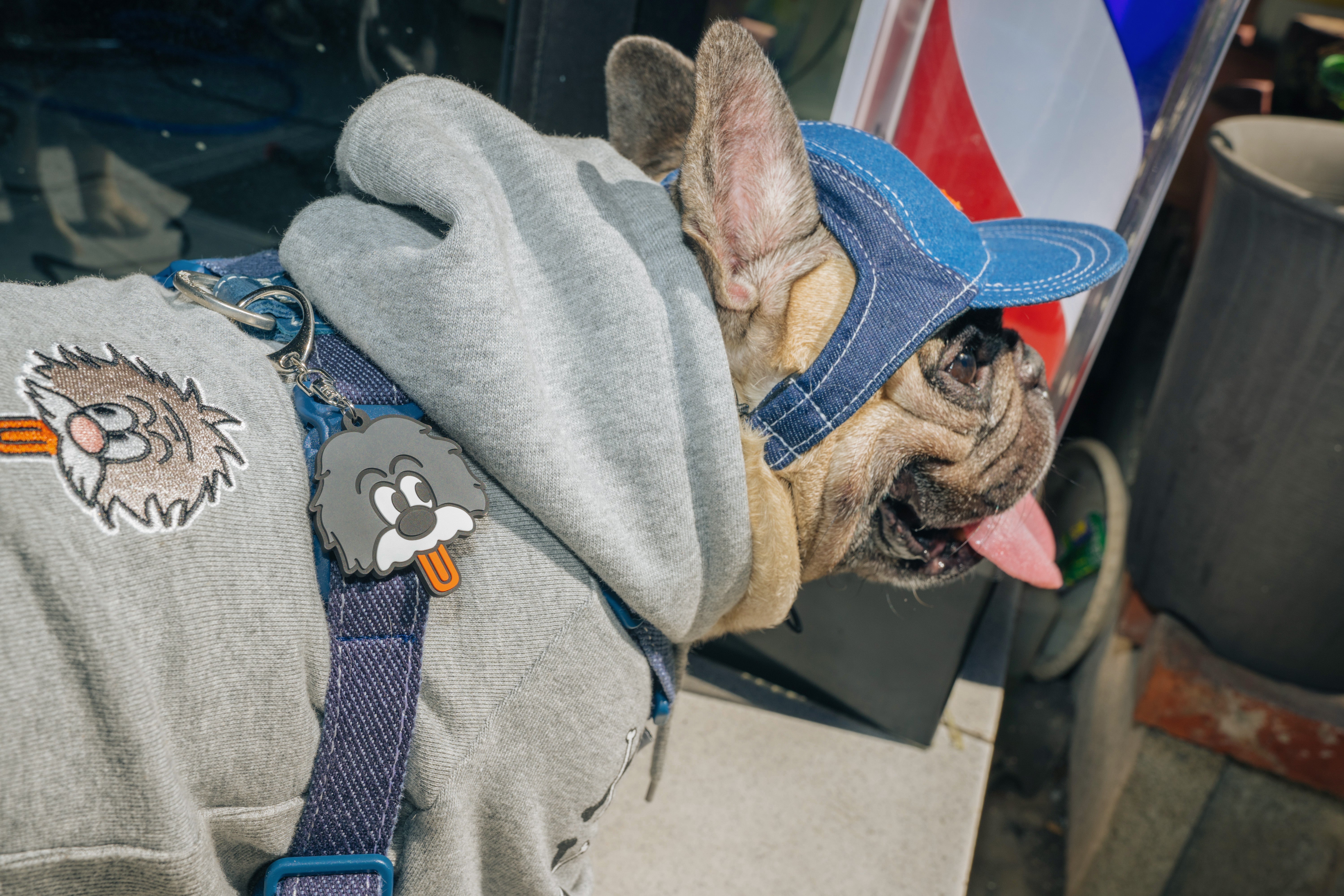 Pets cap【UO2543904SP】