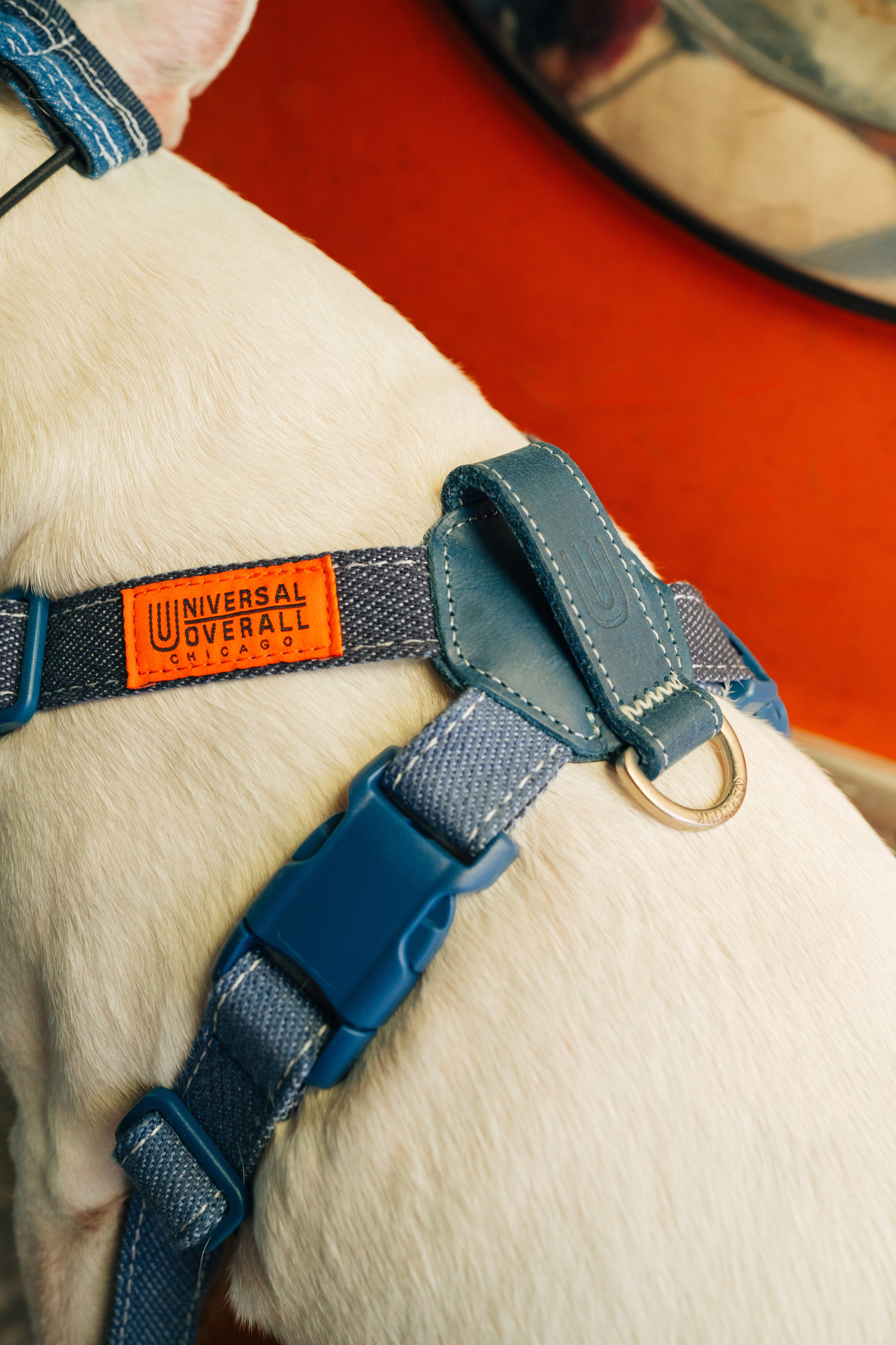 Harness-Lサイズ【UO2543902SP-L】