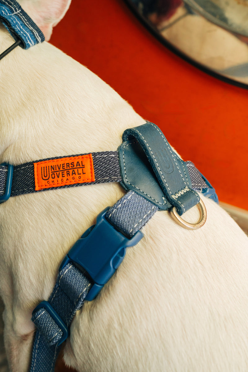 Harness-Lサイズ【UO2543902SP-L】