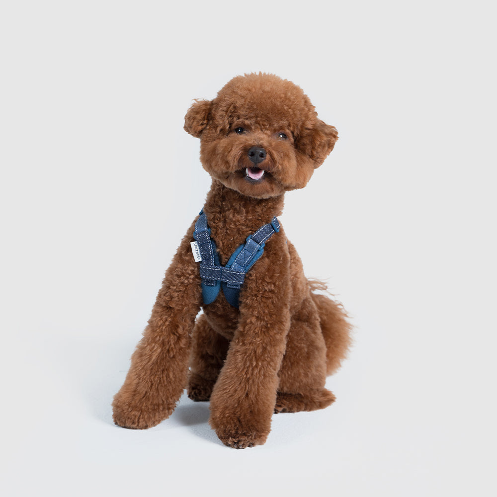 Harness【UO2543902SP-S】