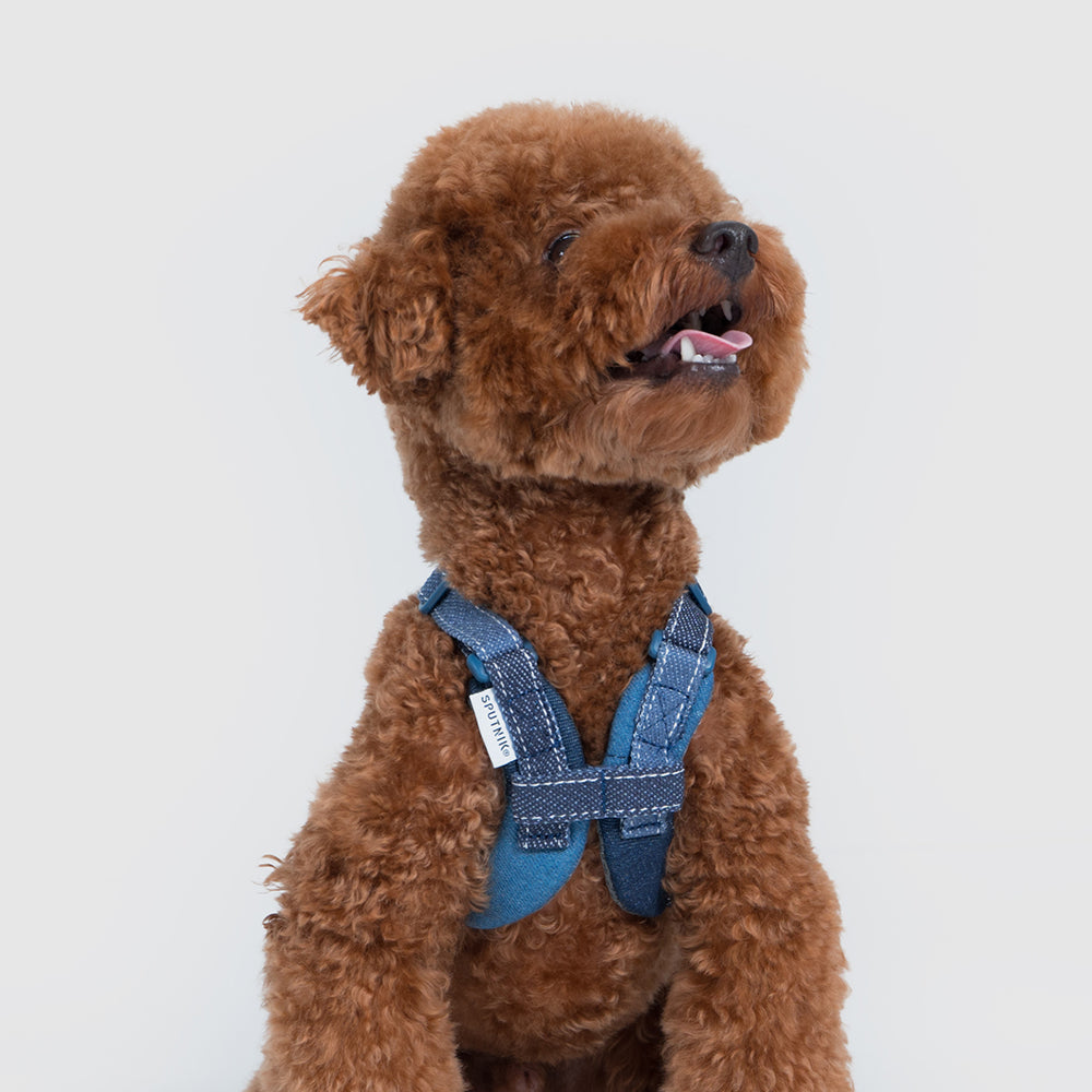 Harness【UO2543902SP-S】