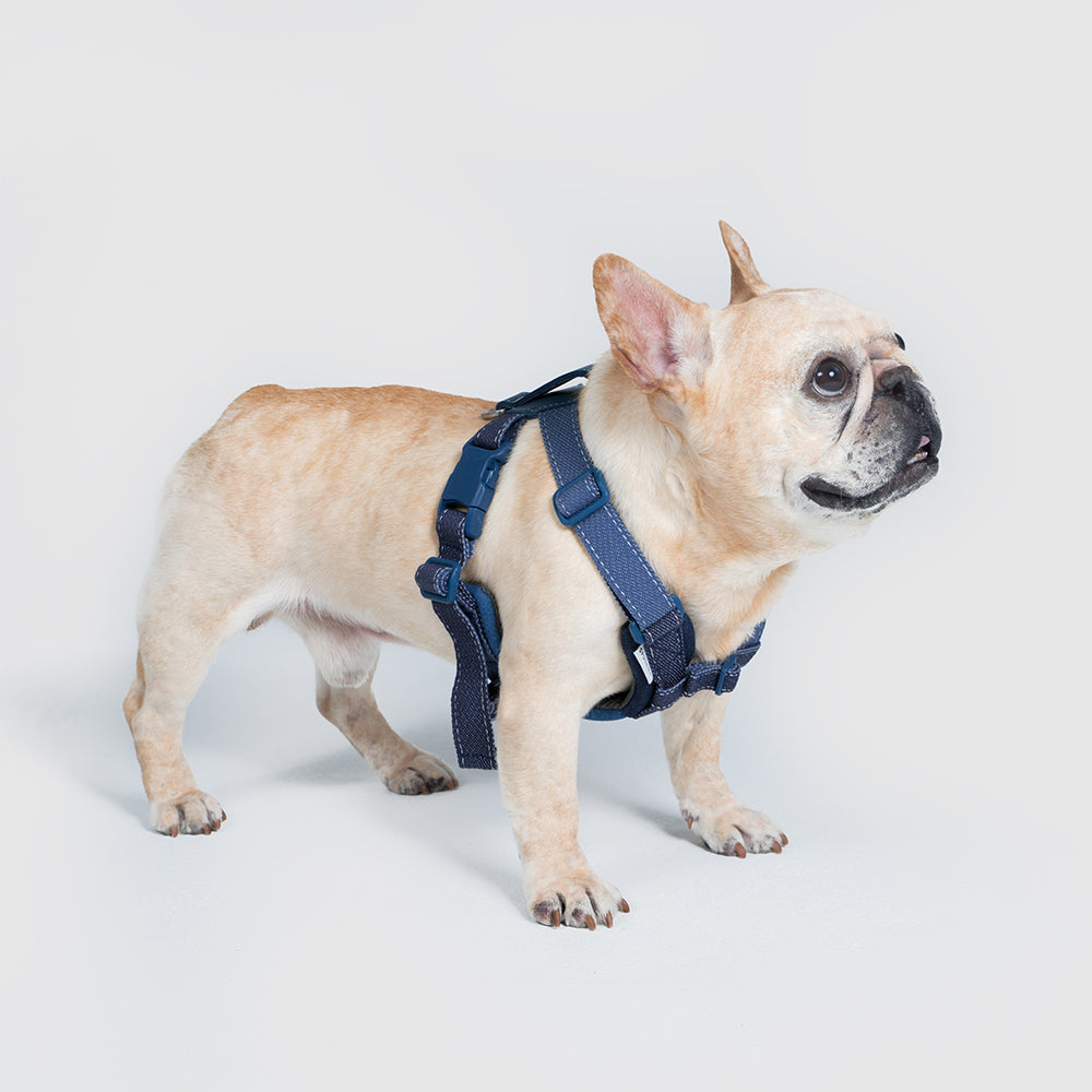 犬用ハーネスMサイズ【SPUTNIK×UNIVERSAL OVERALLデニムシリーズ