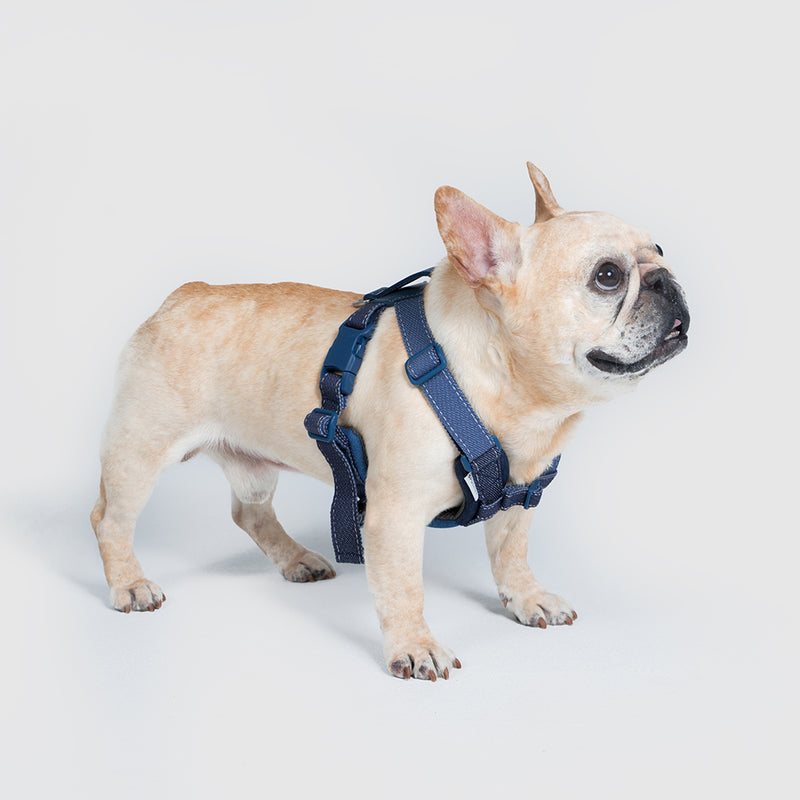 Harness-Mサイズ【UO2543902SP-M】