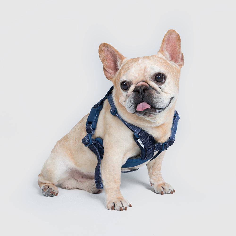 Harness-Mサイズ【UO2543902SP-M】