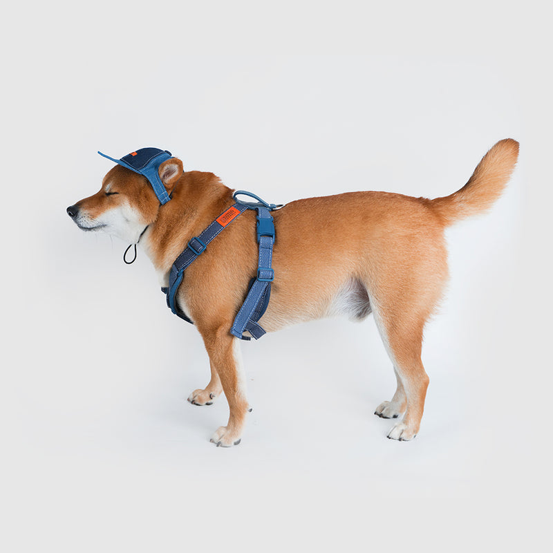 Harness-Lサイズ【UO2543902SP-L】