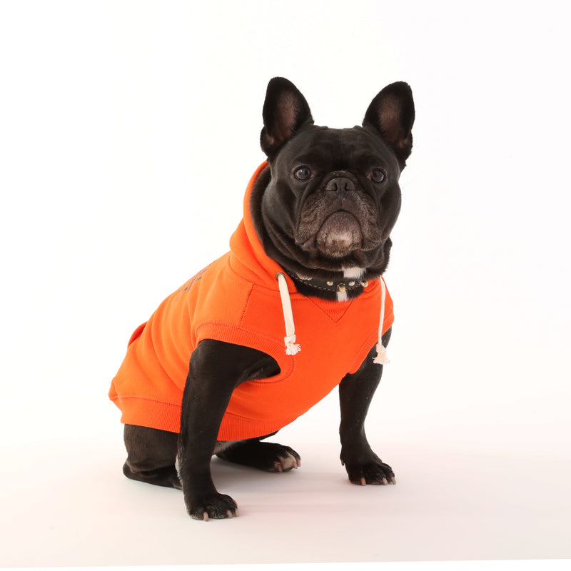 UOD HOODIE【UO2543200DG】