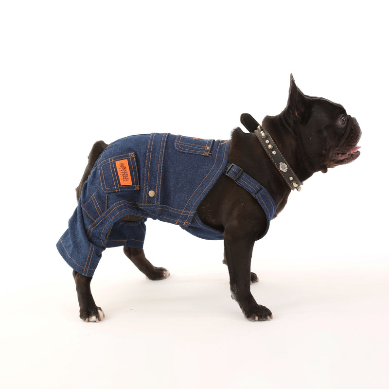 DENIM OVERALL【UO2543800DG】