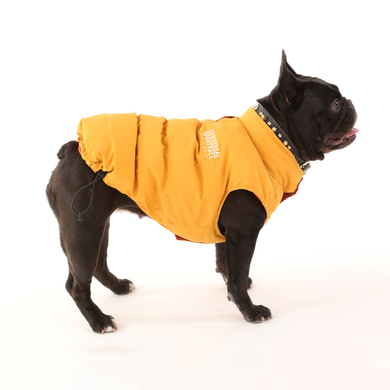 REVESIBLE DOWN VEST【UO2543402DG】