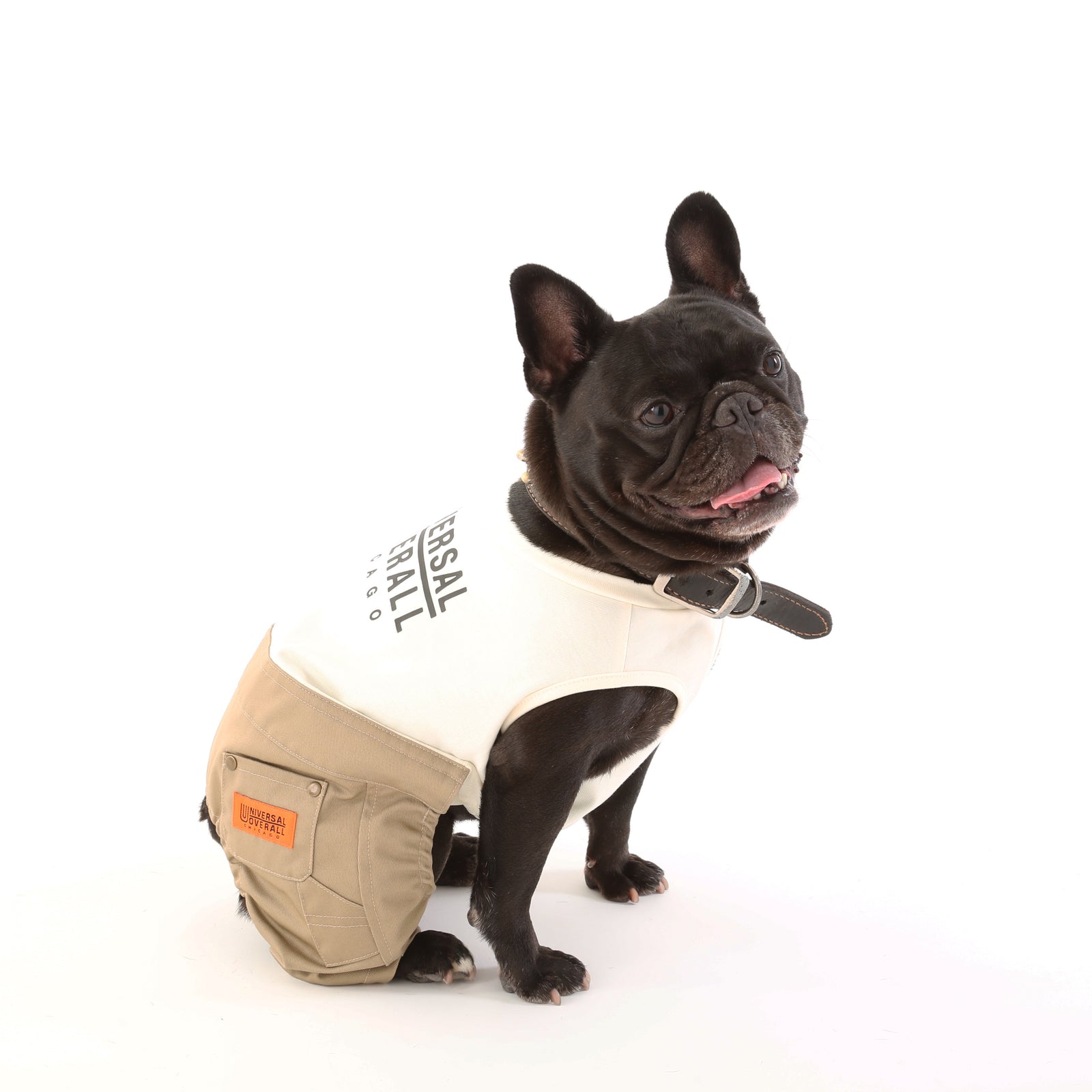 犬用ペインターパンツ【カバーオールとセットアップ可能】| UNIVERSAL