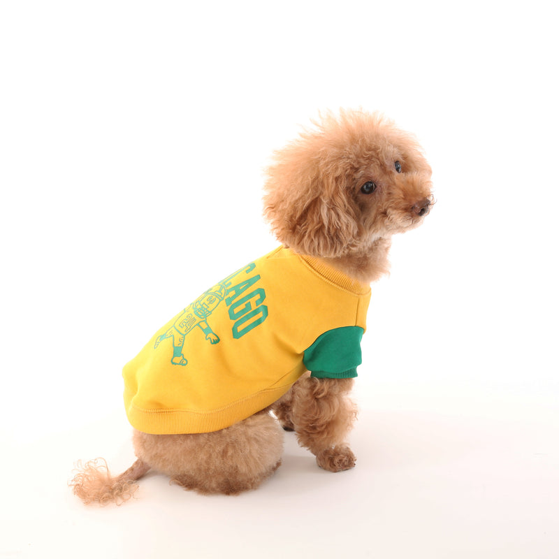 UOD SWEAT【UO2543201DG】