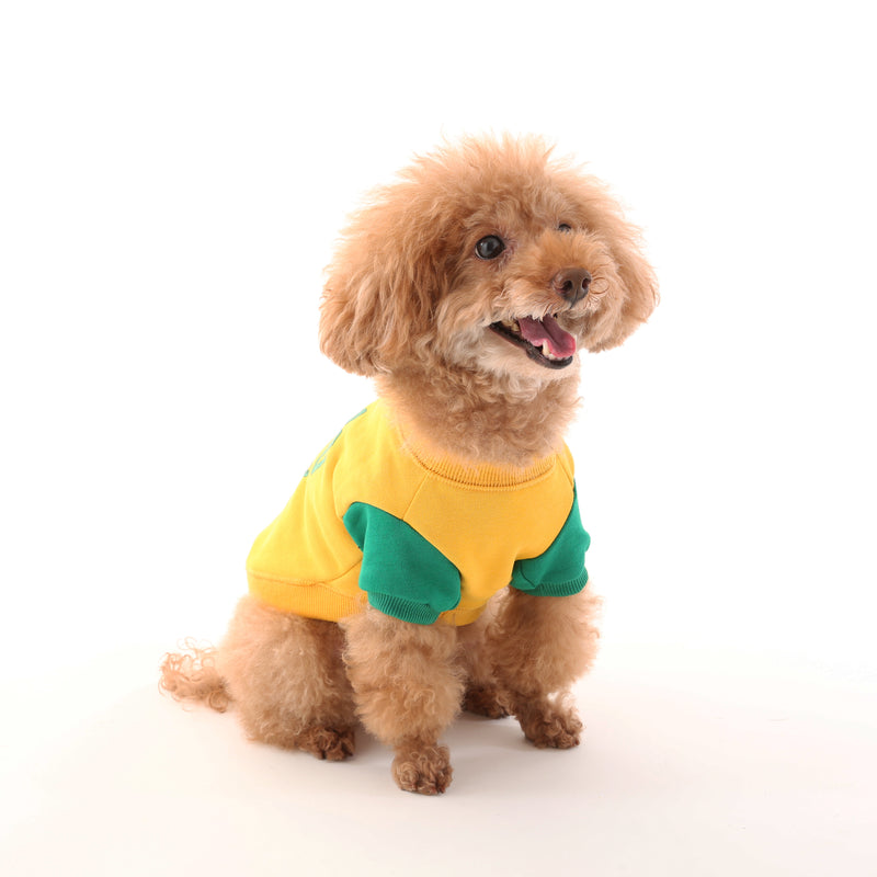 UOD SWEAT【UO2543201DG】