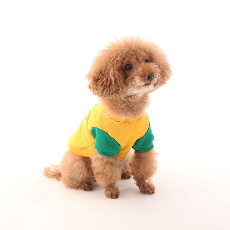 UOD SWEAT【UO2543201DG】