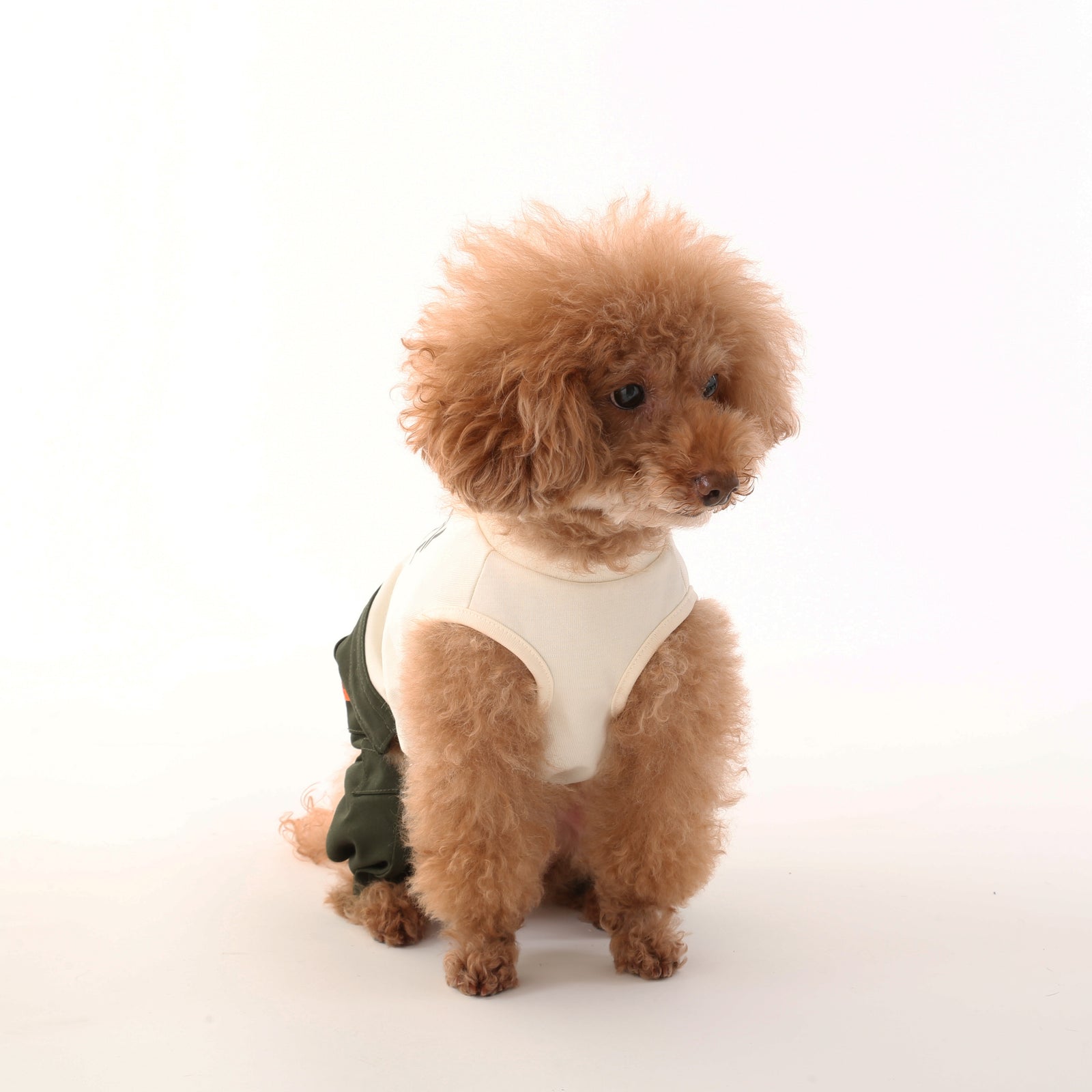 犬用ペインターパンツ【カバーオールとセットアップ可能】| UNIVERSAL