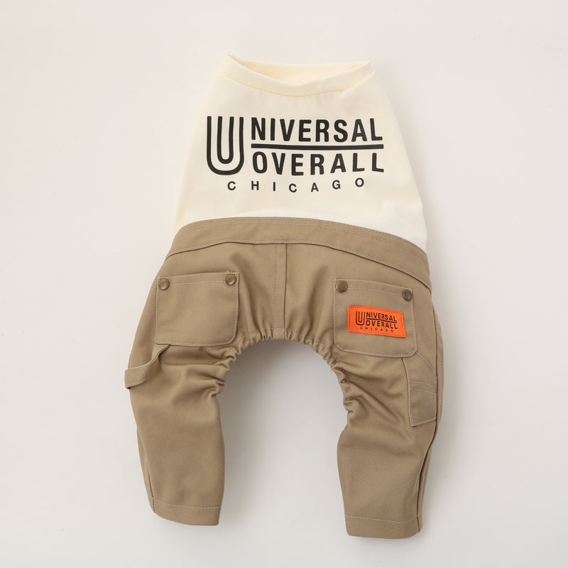 PAINTER PANTS【UO2543600DG】