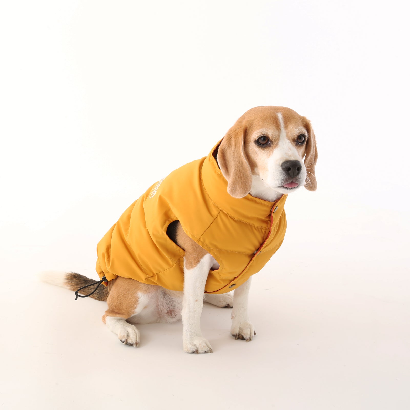 犬用リバーシブル中緿ベスト【両面使い・ポリエステル】| UNIVERSAL