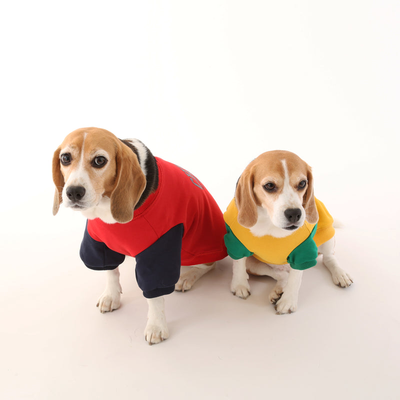 UOD SWEAT【UO2543201DG】