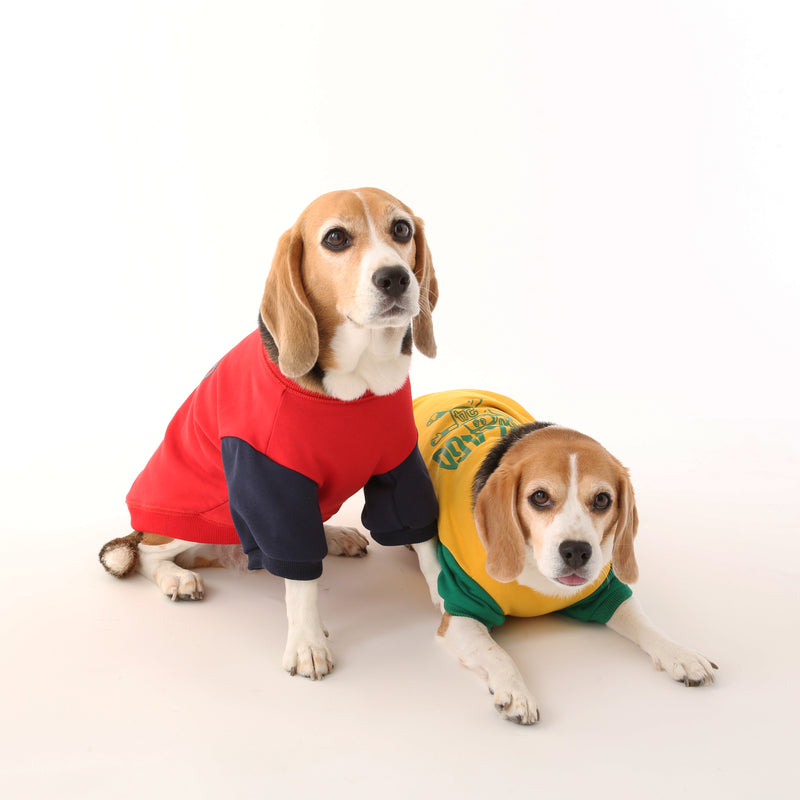 UOD SWEAT【UO2543201DG】