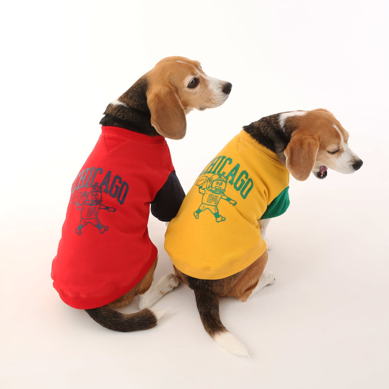 UOD SWEAT【UO2543201DG】