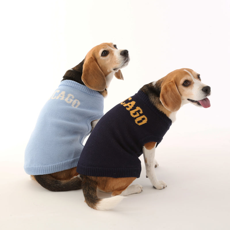 CHICAGO KNIT【UO2543300DG】