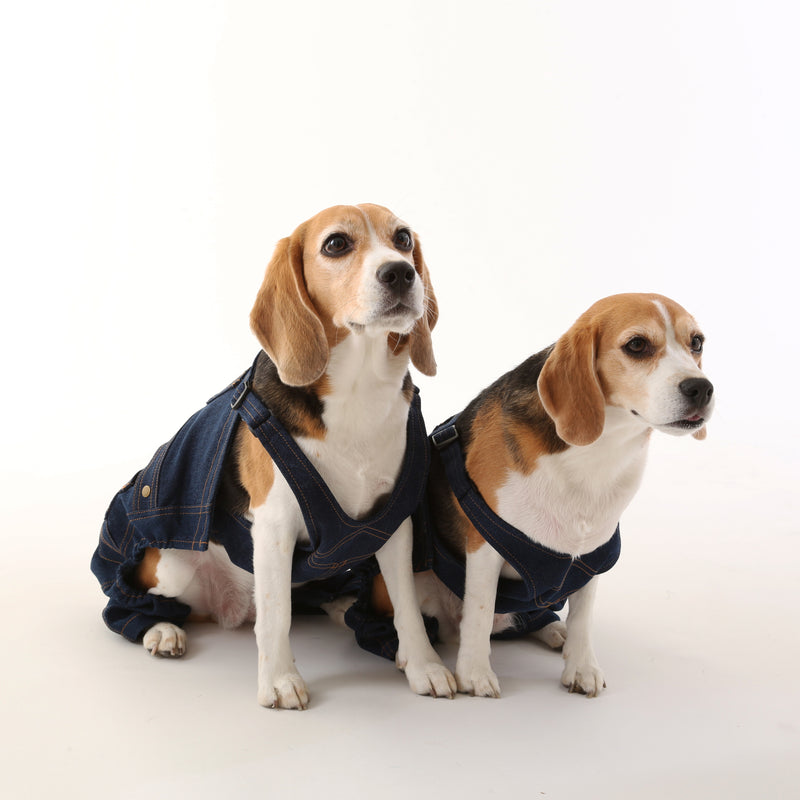 DENIM OVERALL【UO2543800DG】