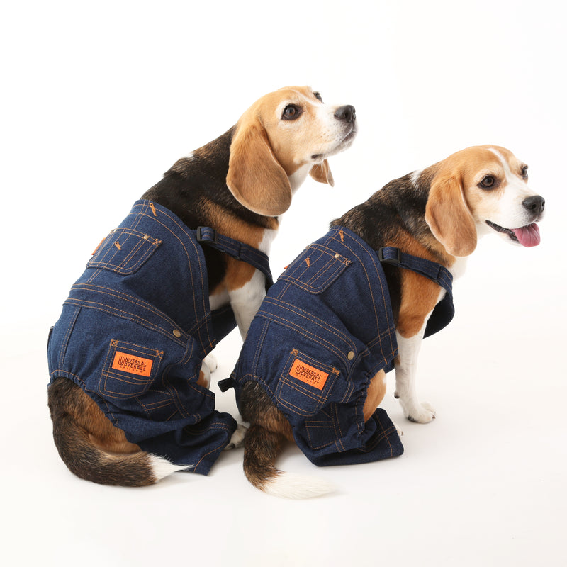 DENIM OVERALL【UO2543800DG】