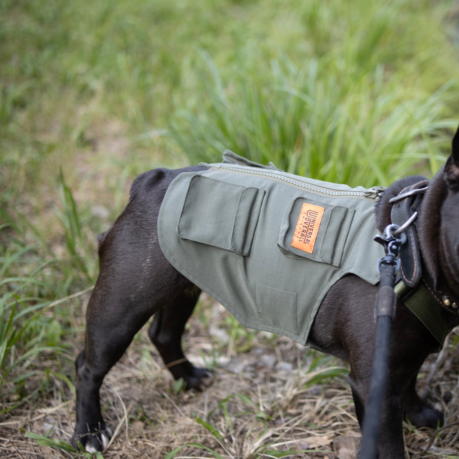 UNIVERSAL OVERALL UOD VEST 犬用ベスト 犬用ベスト【撥水・ハットとお揃い・ワークスタイル】| UNIVERSAL