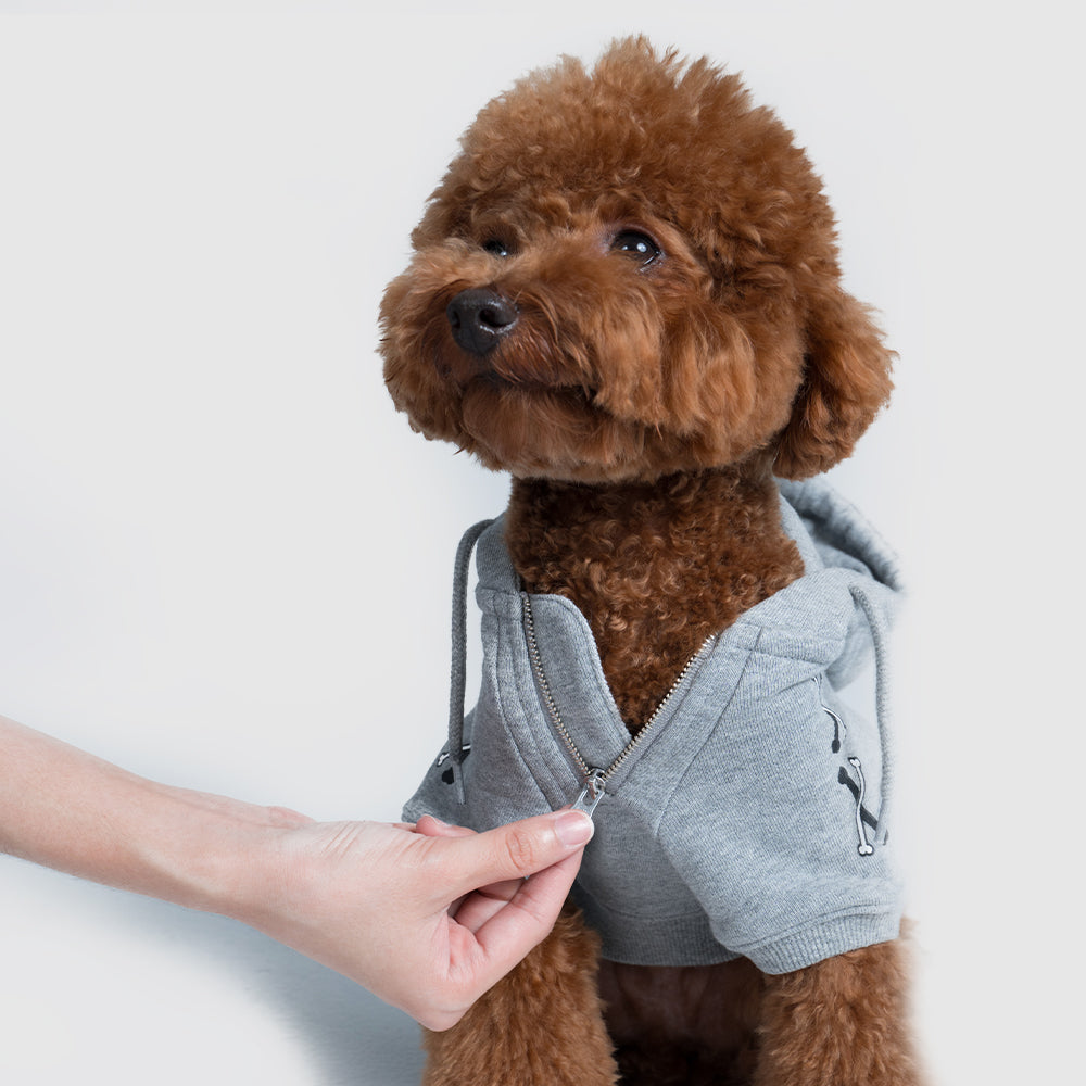 Pets hoodie【UO2543905SP】