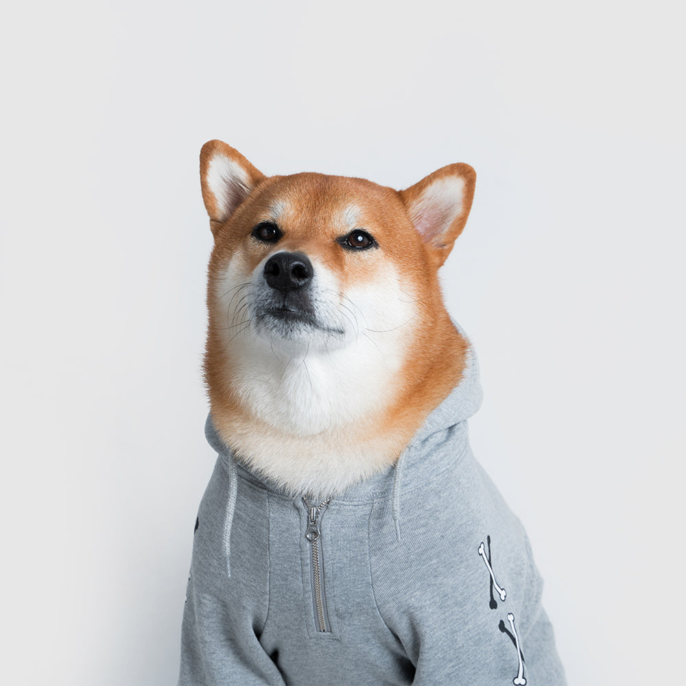 Pets hoodie【UO2543905SP】